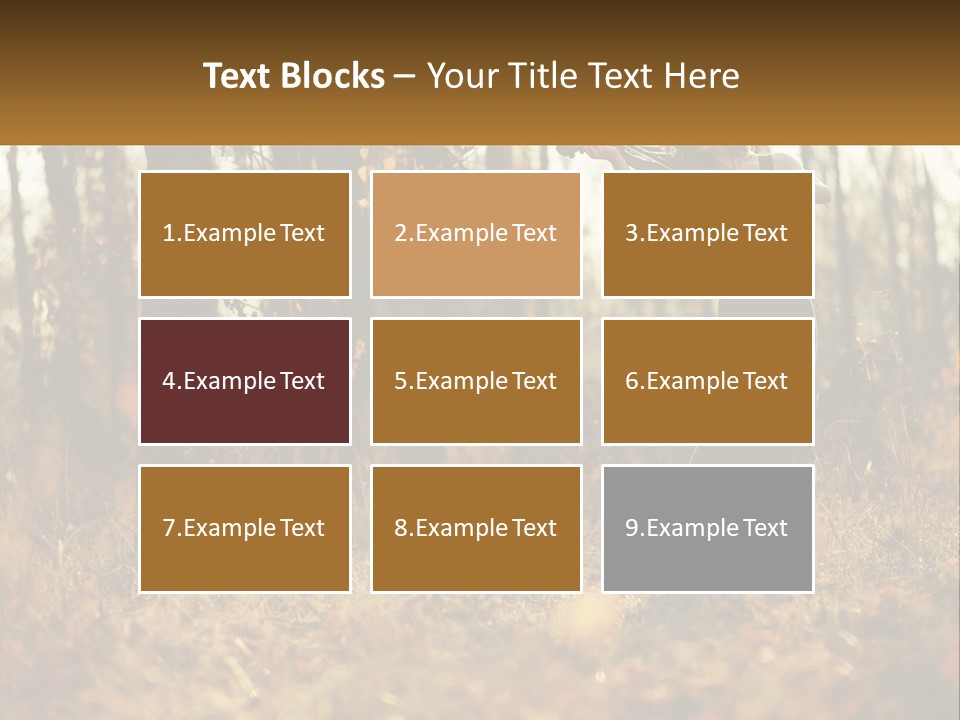 Girl Playing The Violin In The Woods PowerPoint Template