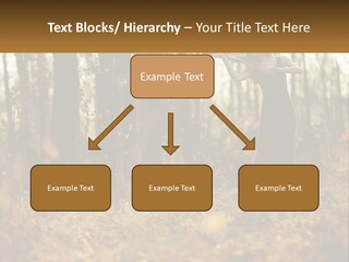 Girl Playing The Violin In The Woods PowerPoint Template