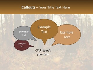 Girl Playing The Violin In The Woods PowerPoint Template