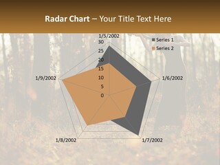 Girl Playing The Violin In The Woods PowerPoint Template