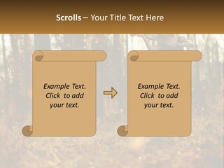 Girl Playing The Violin In The Woods PowerPoint Template