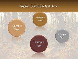 Girl Playing The Violin In The Woods PowerPoint Template