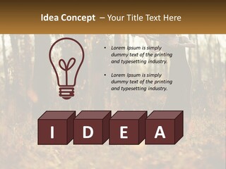 Girl Playing The Violin In The Woods PowerPoint Template