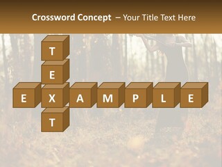 Girl Playing The Violin In The Woods PowerPoint Template