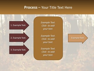 Girl Playing The Violin In The Woods PowerPoint Template