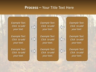 Girl Playing The Violin In The Woods PowerPoint Template