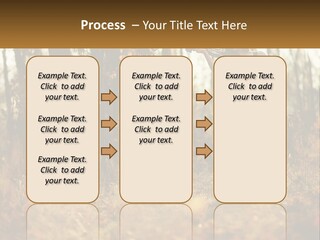 Girl Playing The Violin In The Woods PowerPoint Template