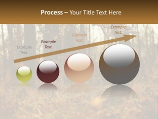 Girl Playing The Violin In The Woods PowerPoint Template