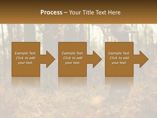 Girl Playing The Violin In The Woods PowerPoint Template