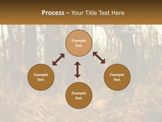 Girl Playing The Violin In The Woods PowerPoint Template