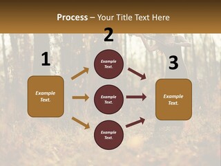 Girl Playing The Violin In The Woods PowerPoint Template