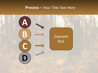 Girl Playing The Violin In The Woods PowerPoint Template