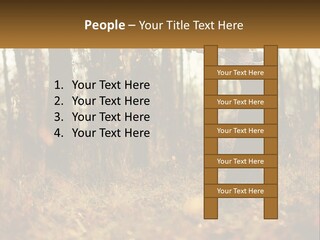 Girl Playing The Violin In The Woods PowerPoint Template