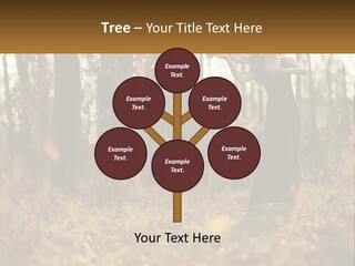 Girl Playing The Violin In The Woods PowerPoint Template