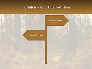 Girl Playing The Violin In The Woods PowerPoint Template