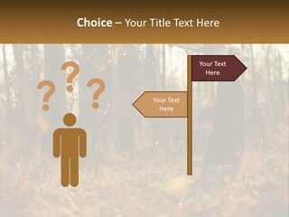 Girl Playing The Violin In The Woods PowerPoint Template