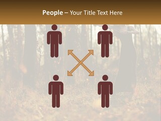 Girl Playing The Violin In The Woods PowerPoint Template