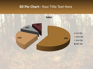 Girl Playing The Violin In The Woods PowerPoint Template