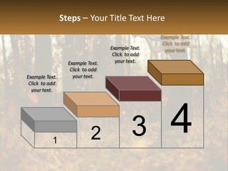 Girl Playing The Violin In The Woods PowerPoint Template