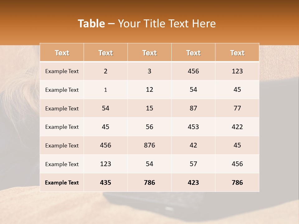 Schoolgirl At Laptop PowerPoint Template