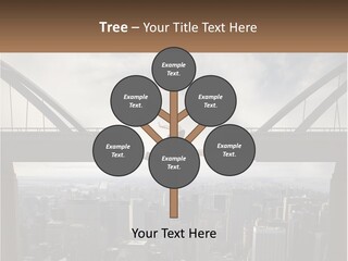 Connection Of Bridges PowerPoint Template