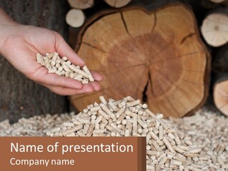 Filler For Cats From A Tree PowerPoint Template