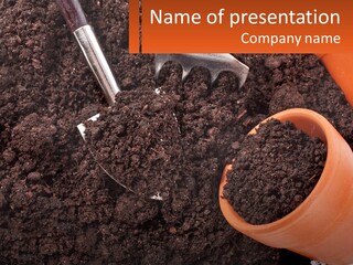 Flowers In A Pot PowerPoint Template