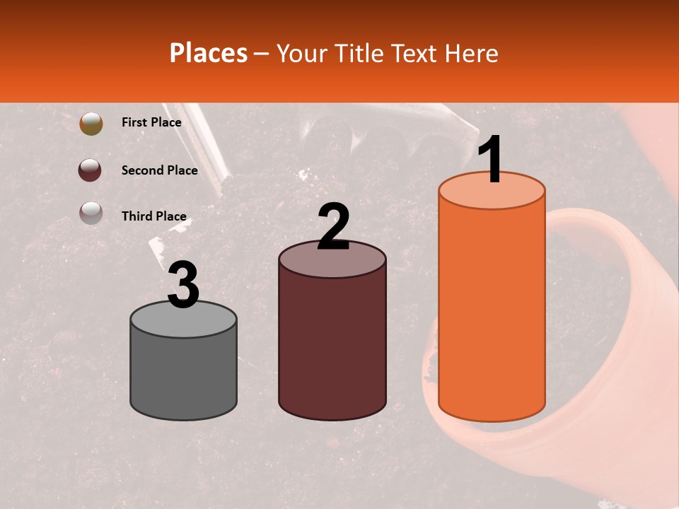 Flowers In A Pot PowerPoint Template