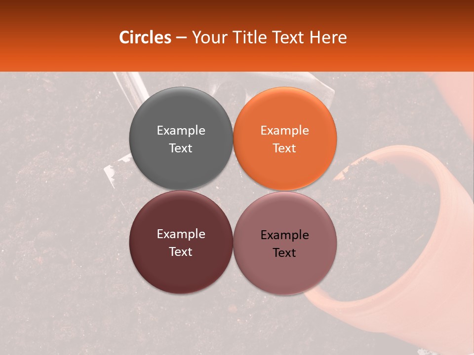 Flowers In A Pot PowerPoint Template