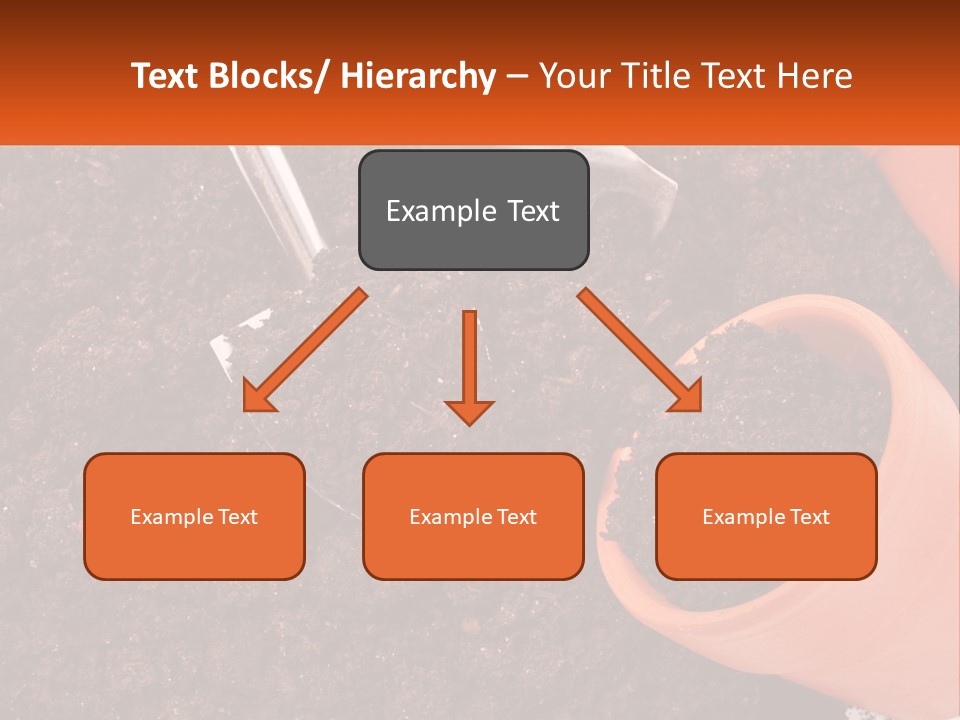 Flowers In A Pot PowerPoint Template