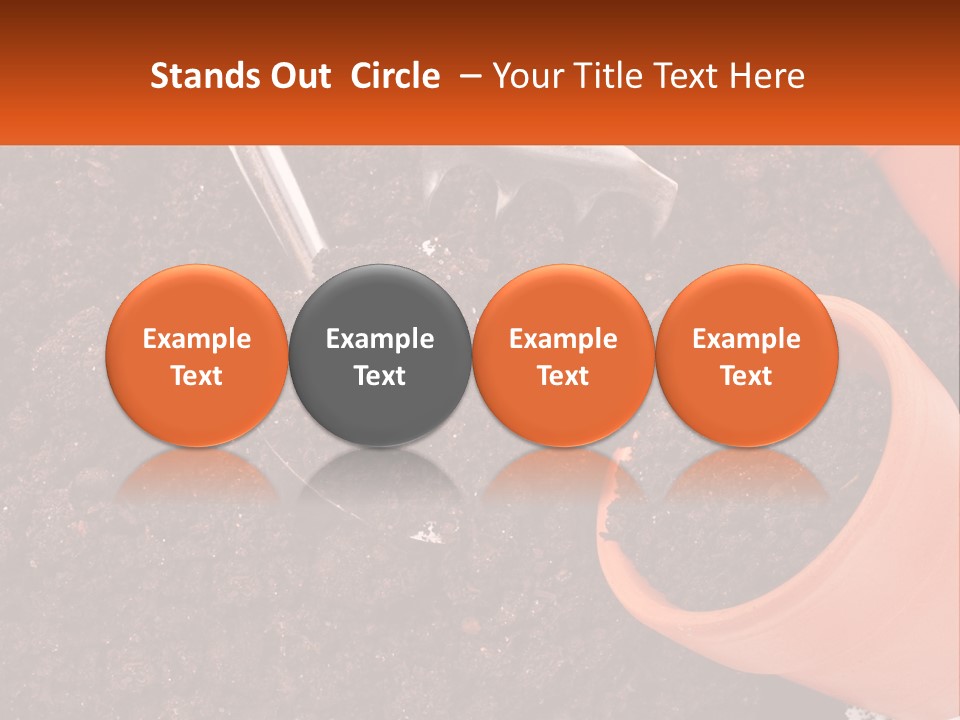 Flowers In A Pot PowerPoint Template