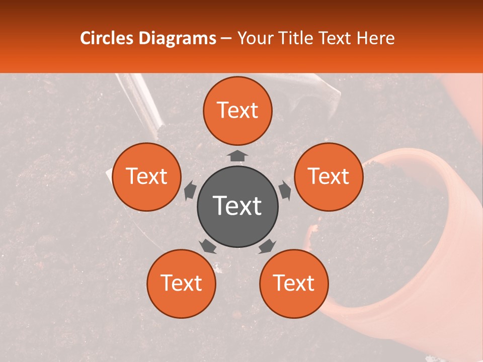 Flowers In A Pot PowerPoint Template