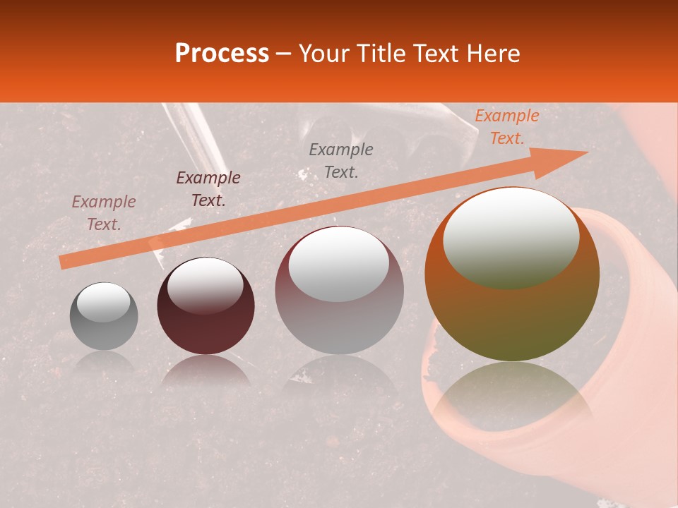 Flowers In A Pot PowerPoint Template