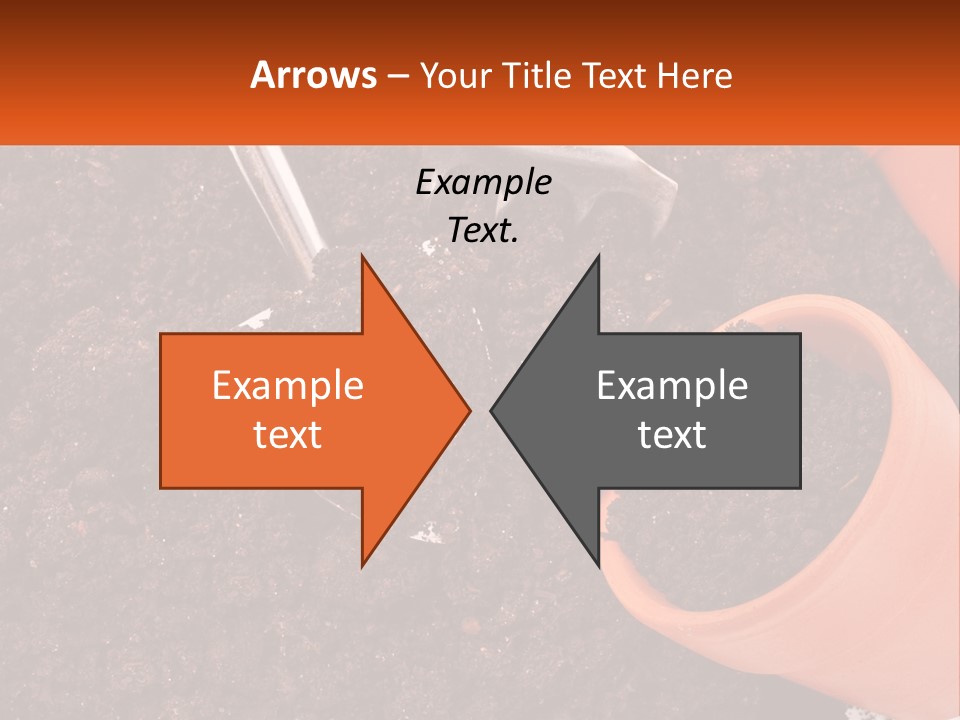 Flowers In A Pot PowerPoint Template