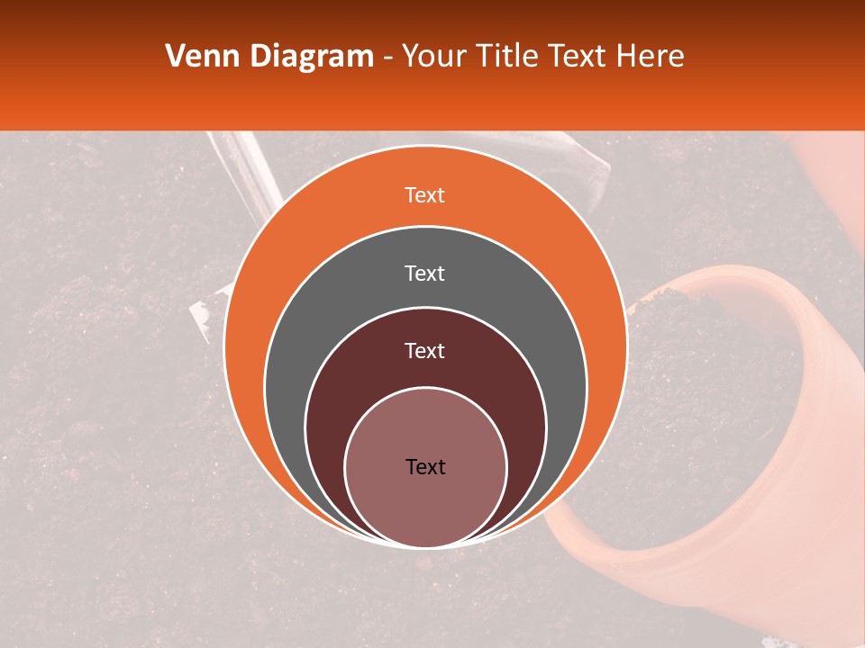 Flowers In A Pot PowerPoint Template