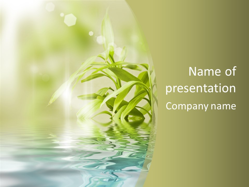 Bamboo In The Water PowerPoint Template