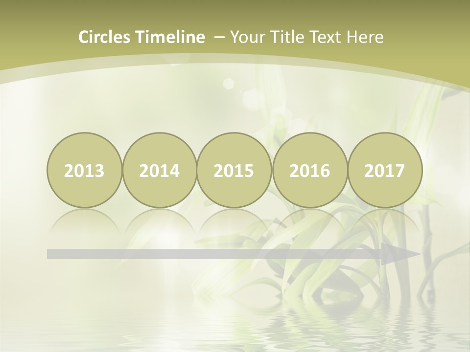 Bamboo In The Water PowerPoint Template