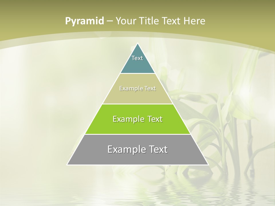 Bamboo In The Water PowerPoint Template