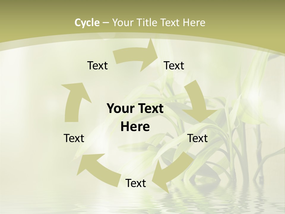 Bamboo In The Water PowerPoint Template