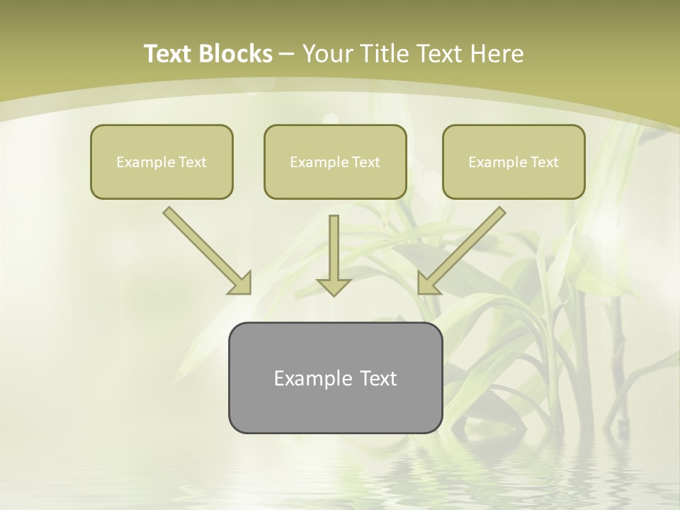 Bamboo In The Water PowerPoint Template