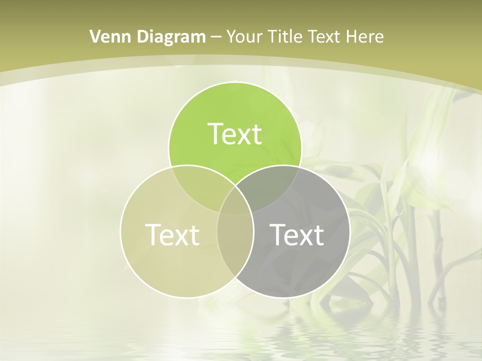 Bamboo In The Water PowerPoint Template