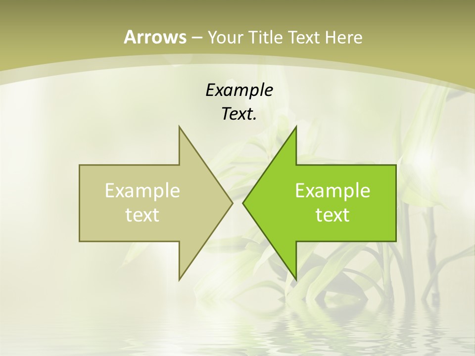 Bamboo In The Water PowerPoint Template