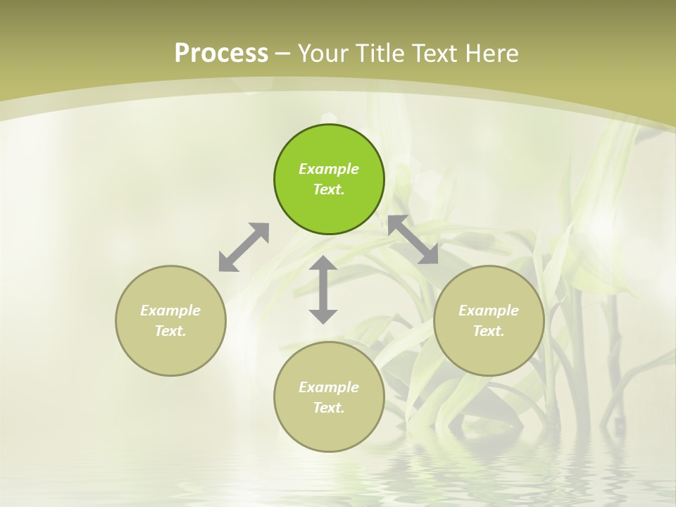 Bamboo In The Water PowerPoint Template