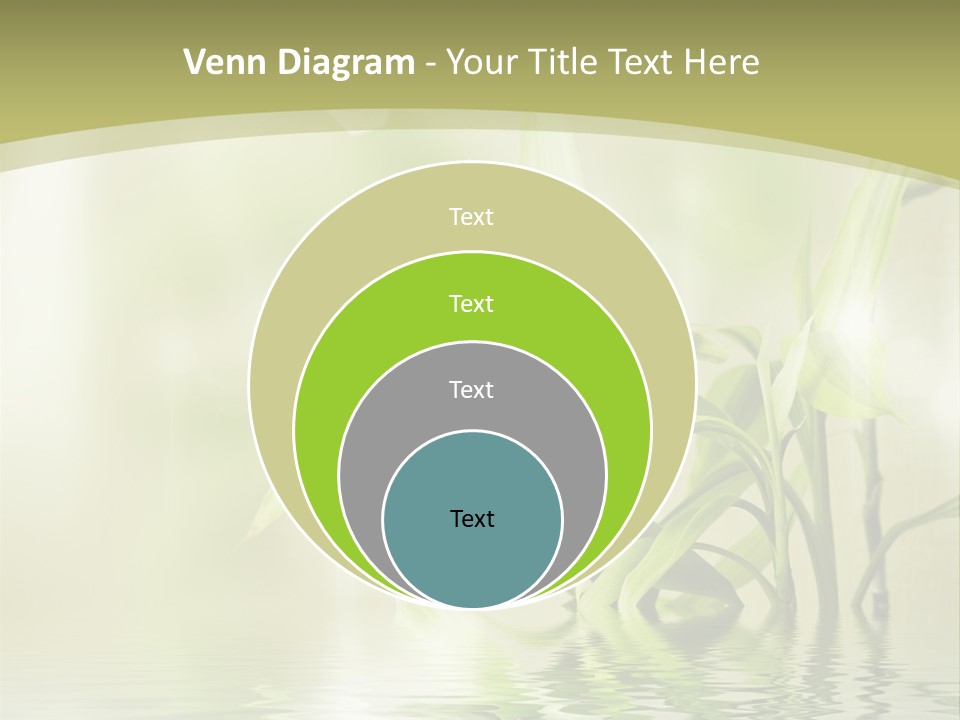 Bamboo In The Water PowerPoint Template