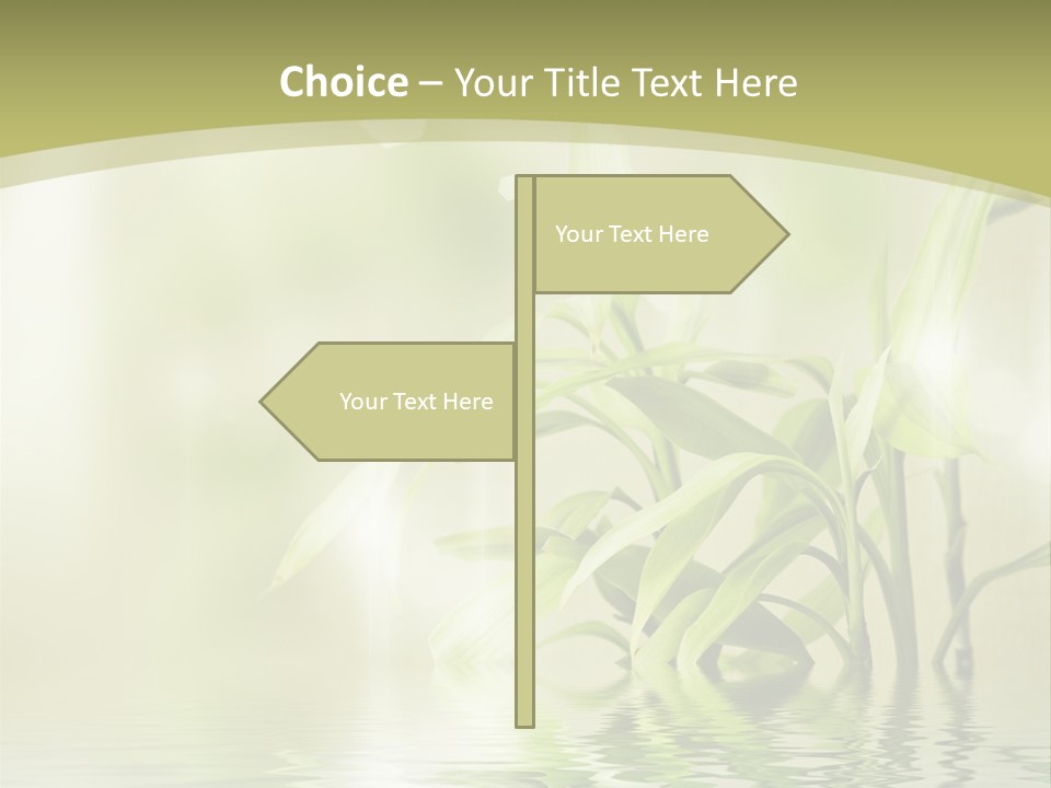 Bamboo In The Water PowerPoint Template