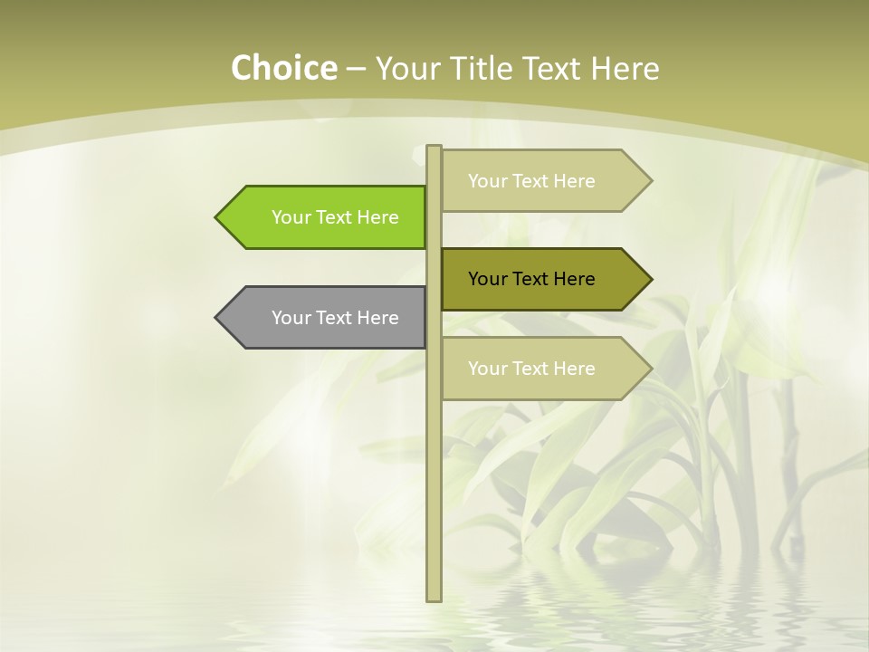 Bamboo In The Water PowerPoint Template