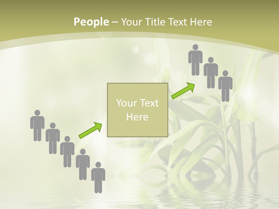 Bamboo In The Water PowerPoint Template