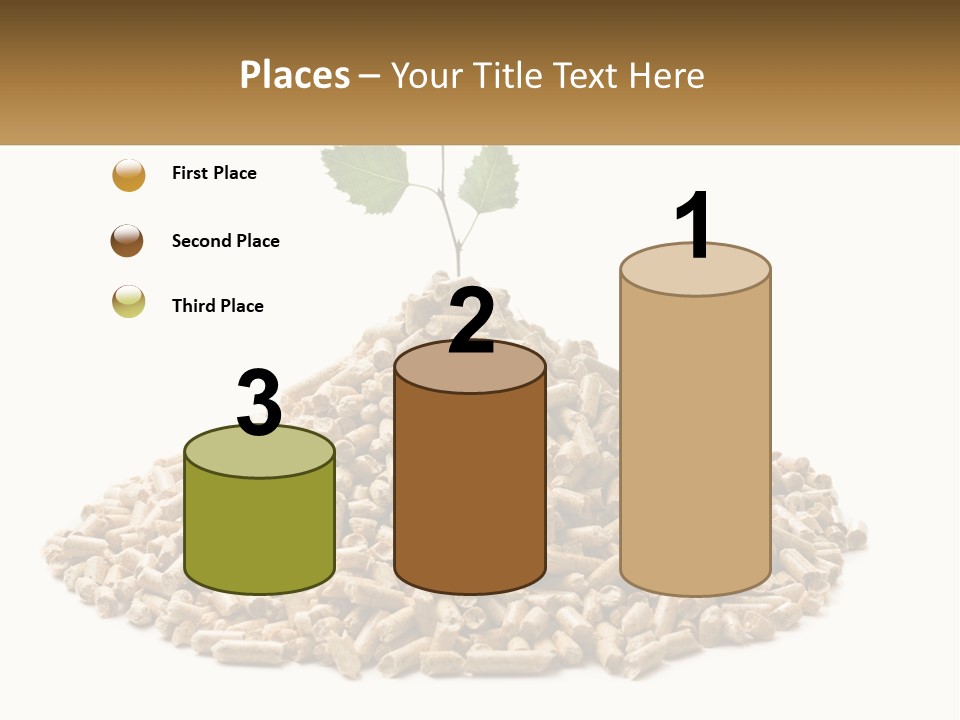 Ecological Toilet Filler PowerPoint Template
