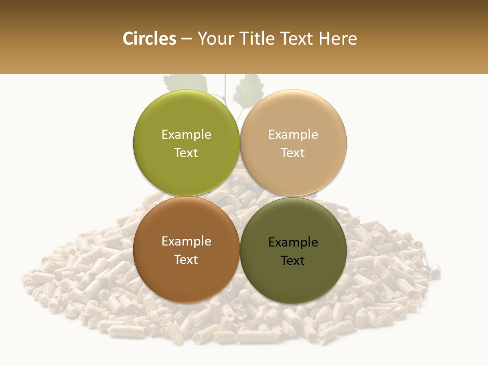 Ecological Toilet Filler PowerPoint Template