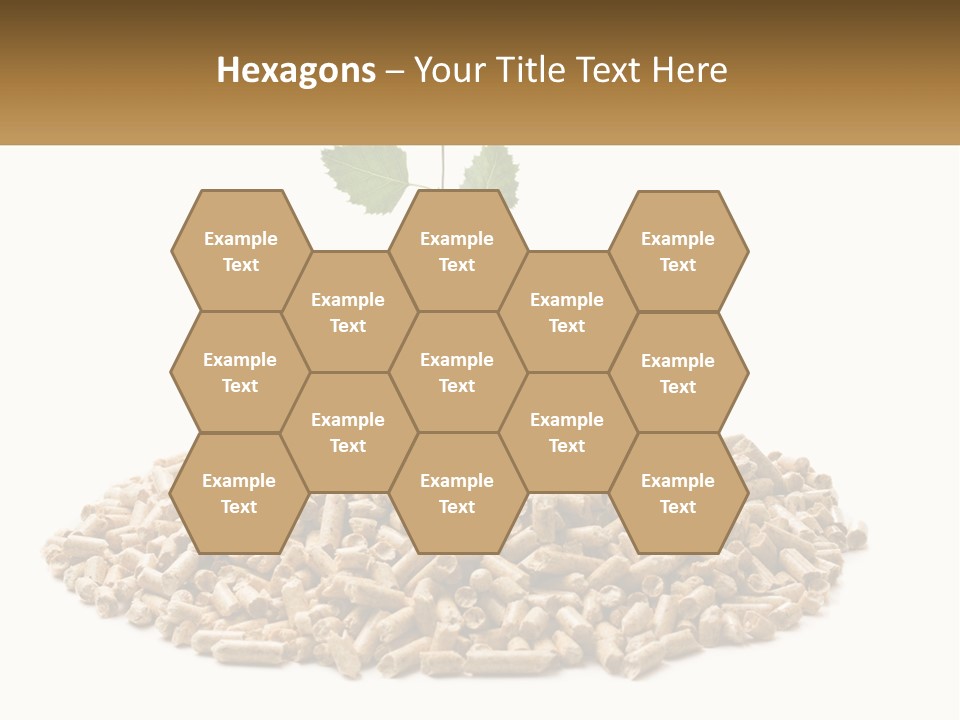 Ecological Toilet Filler PowerPoint Template